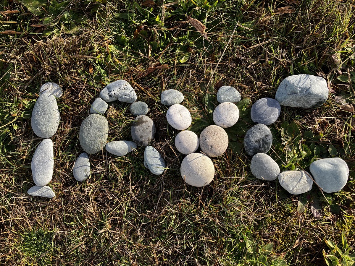 IAVC initials and figures arranged from stones on grass