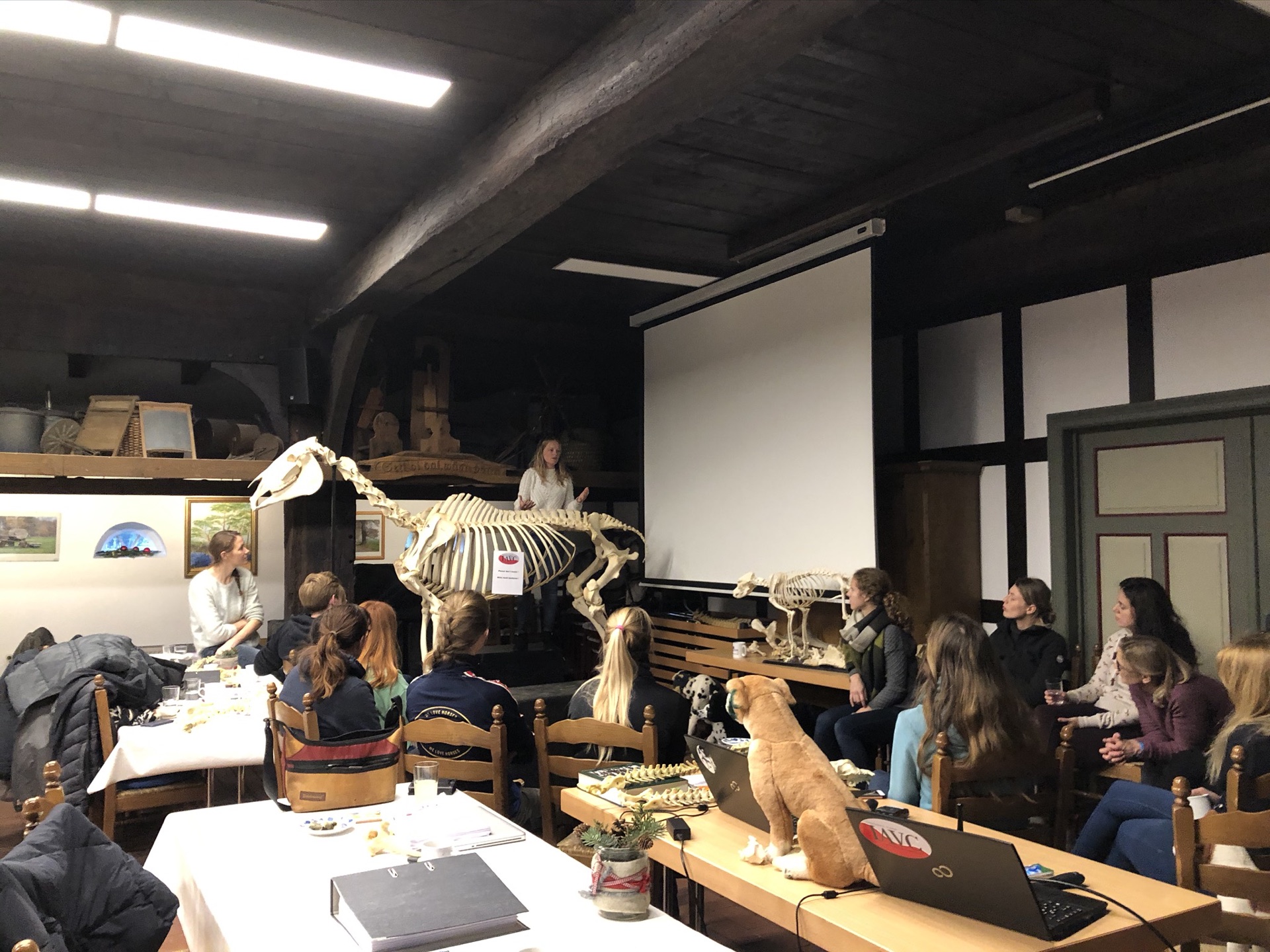 Advanced Equine seminar photo 4.