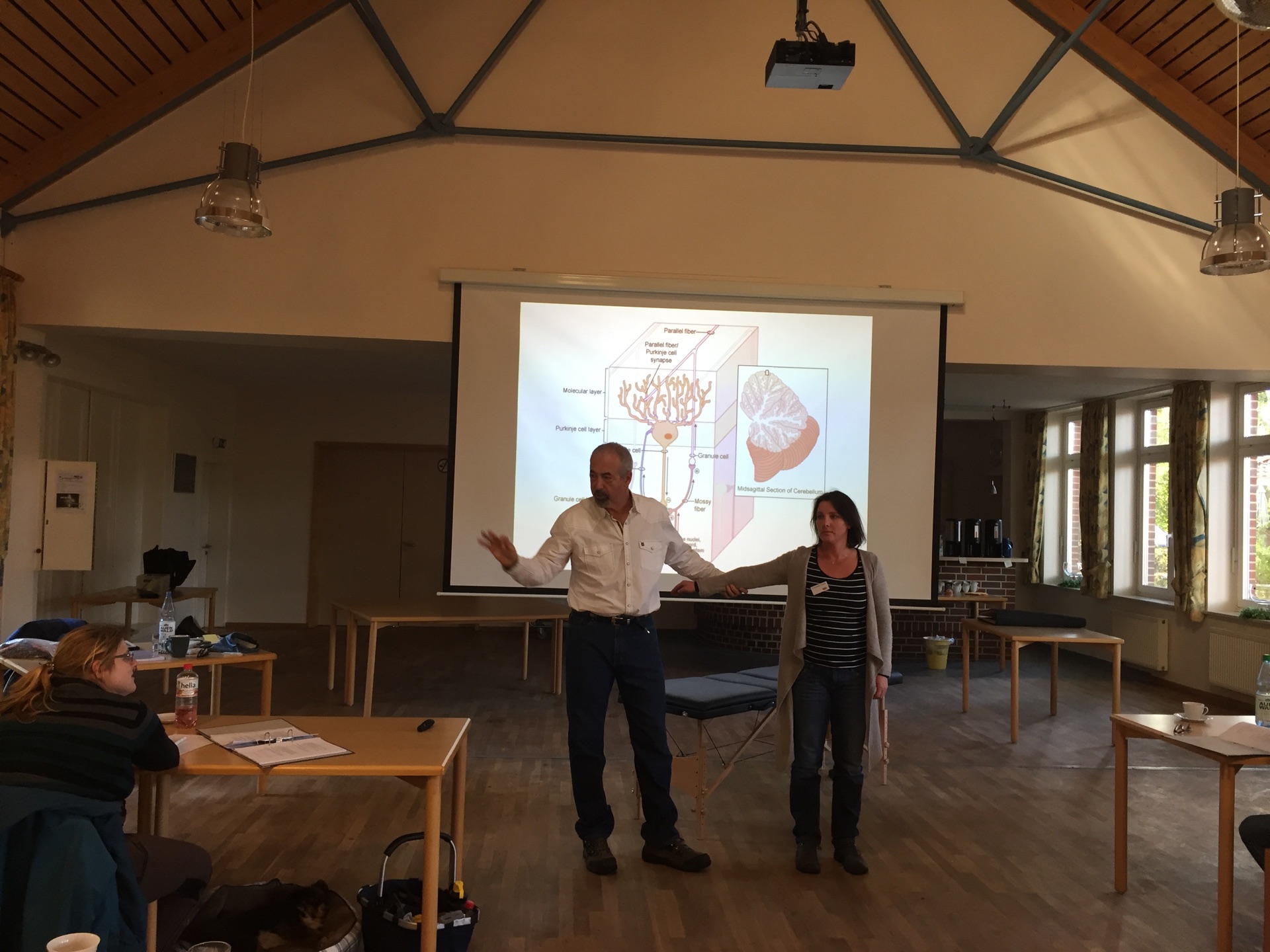 Applied Kinesiology seminar photo 10.