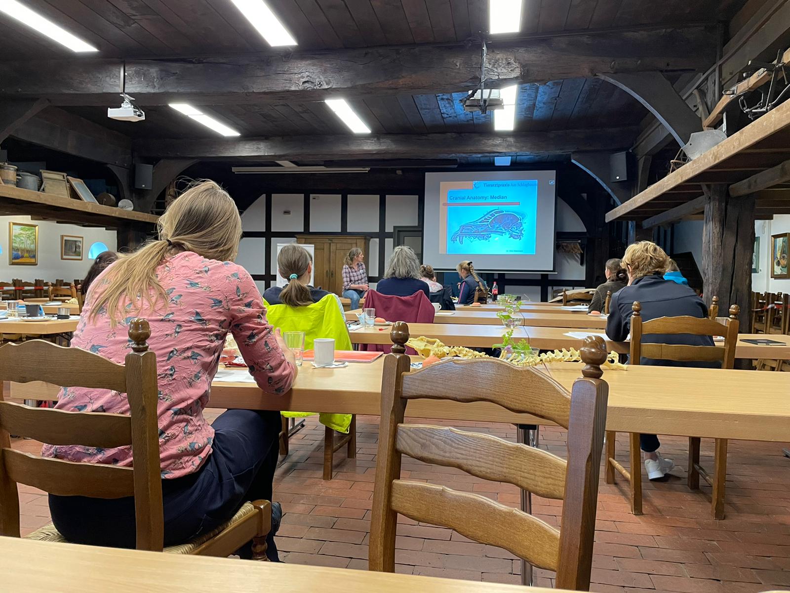 Canine 10-Step seminar photo 7.
